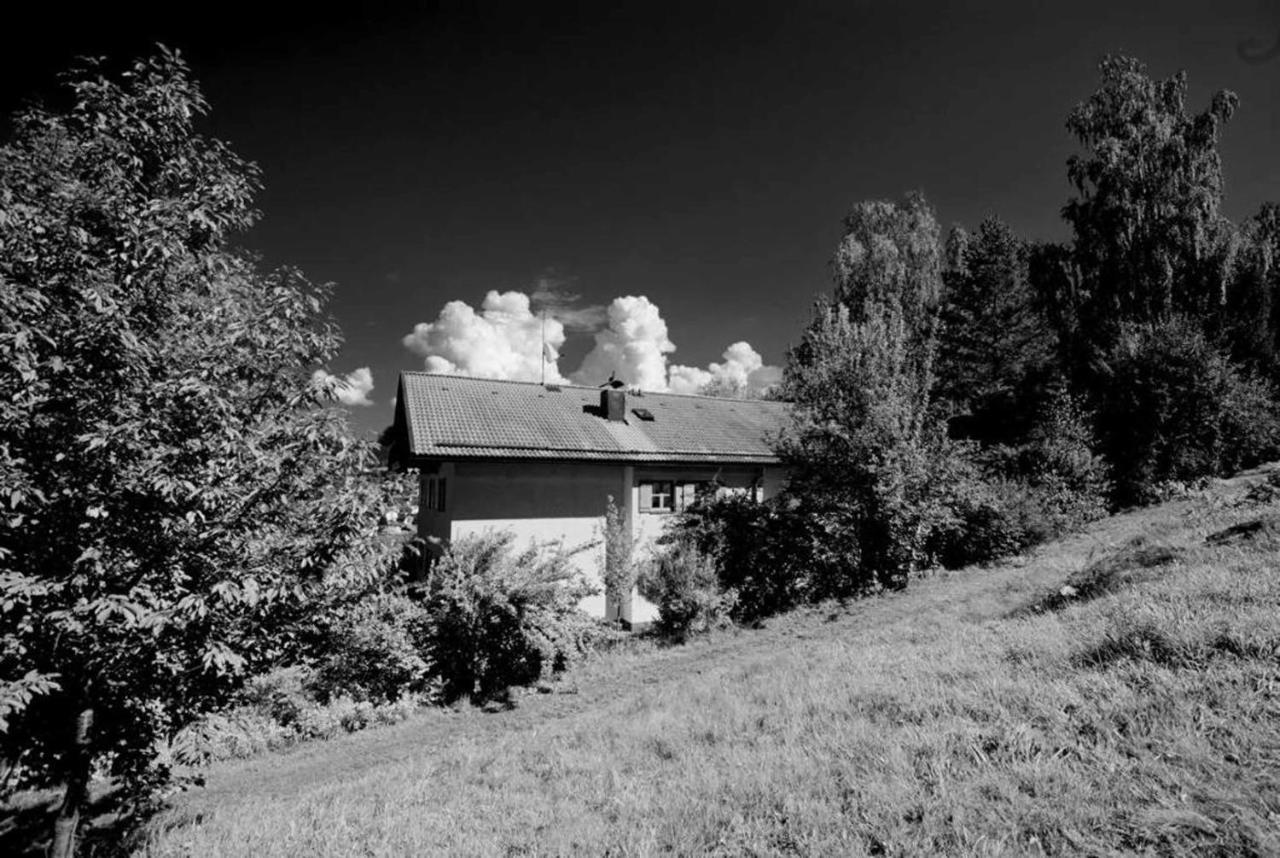 Haus 